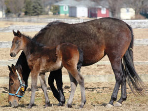 Mom and Baby Girl